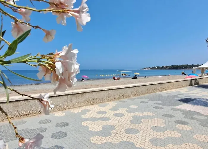 Marina Real 3 Casa Dalu